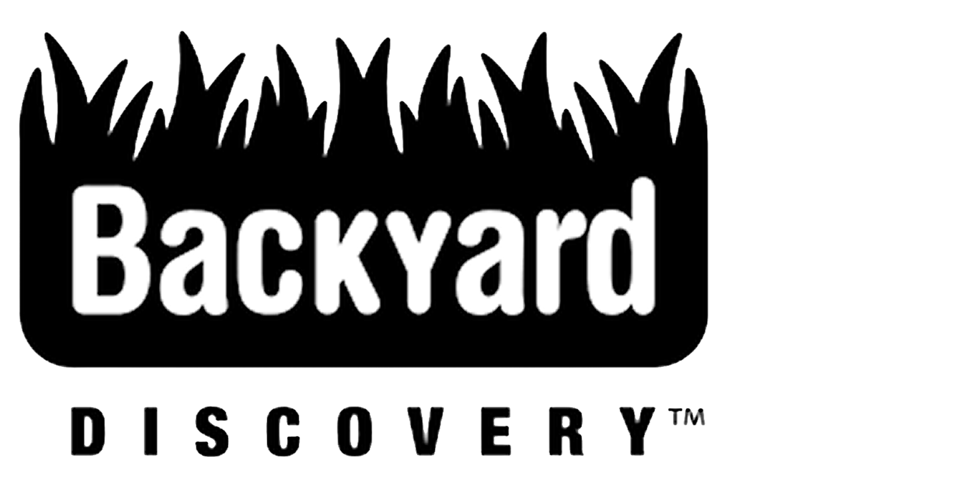 Backyard Discovery